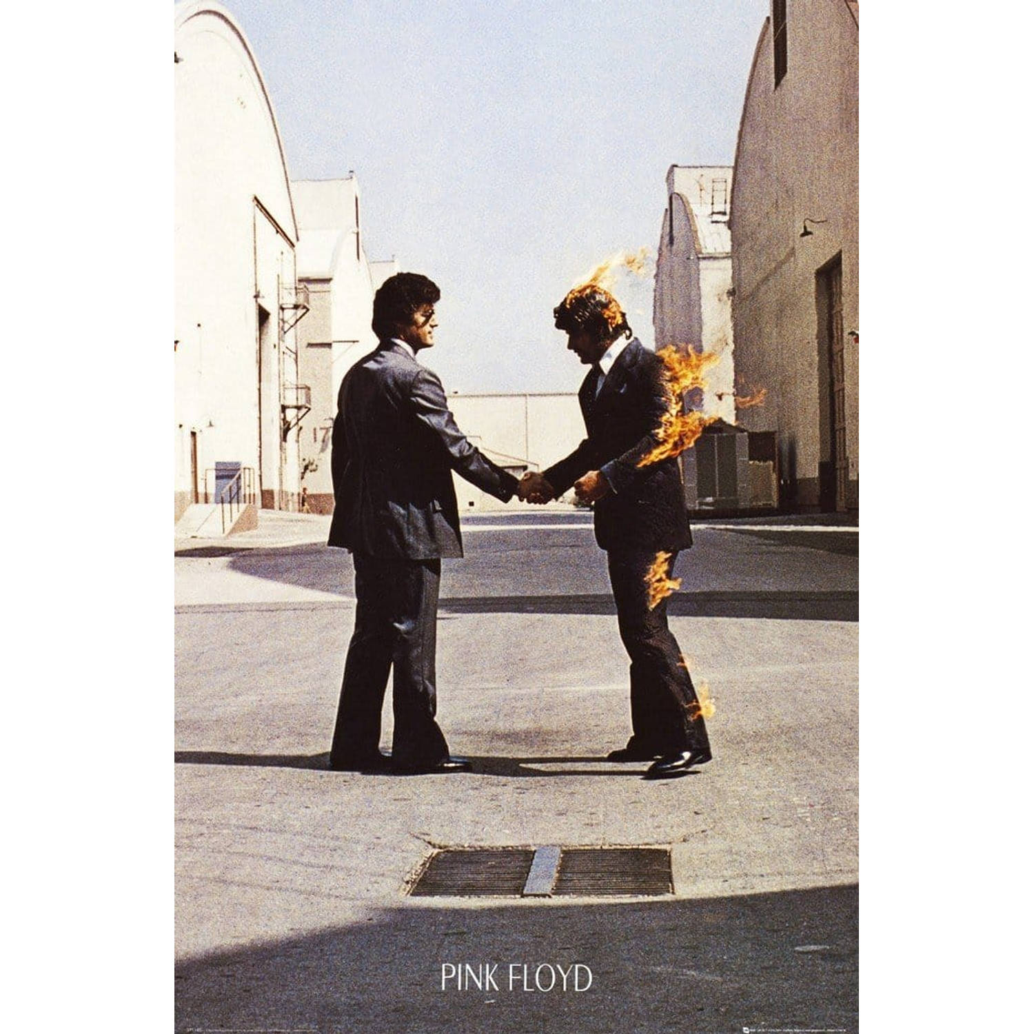 Gbeye Pink Floyd Wish You Were Here Poster 61x91,5cm