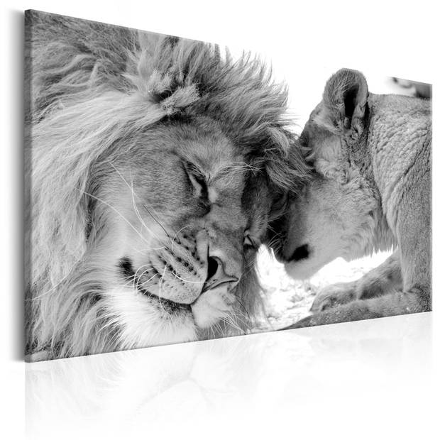 Canvas Schilderij Lions Love 90x60cm