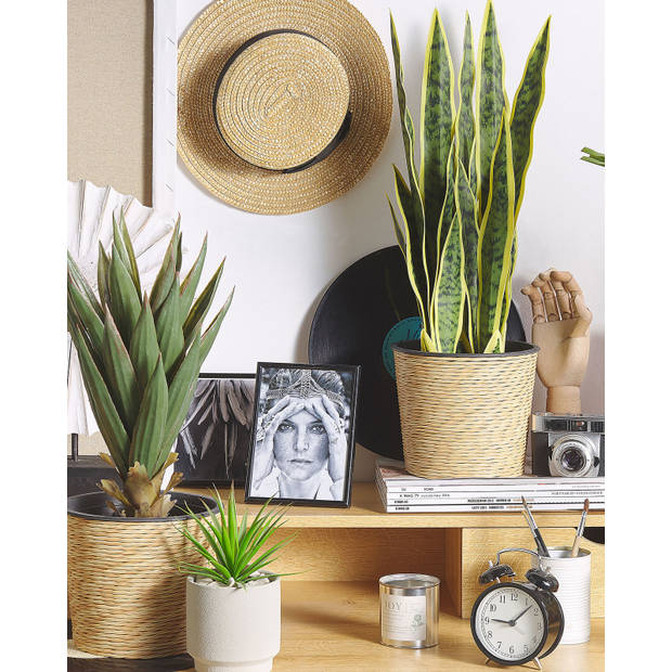 Beliani SNAKE PLANT - Kunstplant-Groen-Synthetisch materiaal