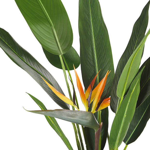 Beliani STRELITZIA TREE - Kunstplant-Groen-Synthetisch materiaal