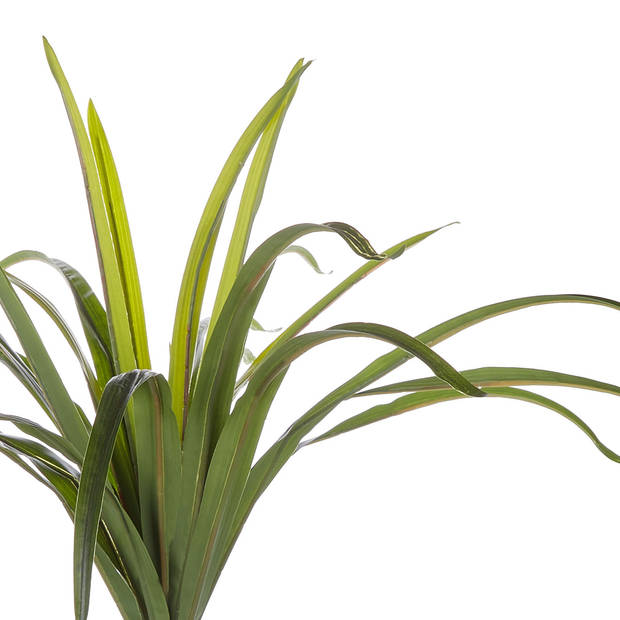 Beliani DRACAENA ANITA - Kunstplant-Groen-Synthetisch materiaal