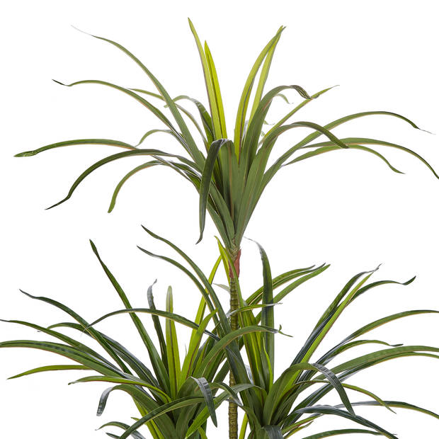 Beliani DRACAENA ANITA - Kunstplant-Groen-Synthetisch materiaal