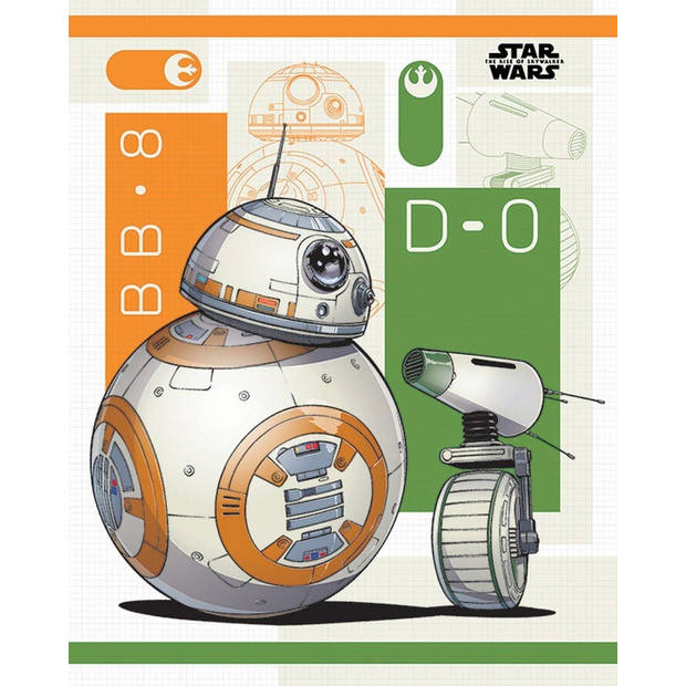 Poster Star Wars The Rise of Skywalker BB-8 and D-0 40x50cm