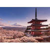 Poster Mount Fuji Blossom 140x100cm