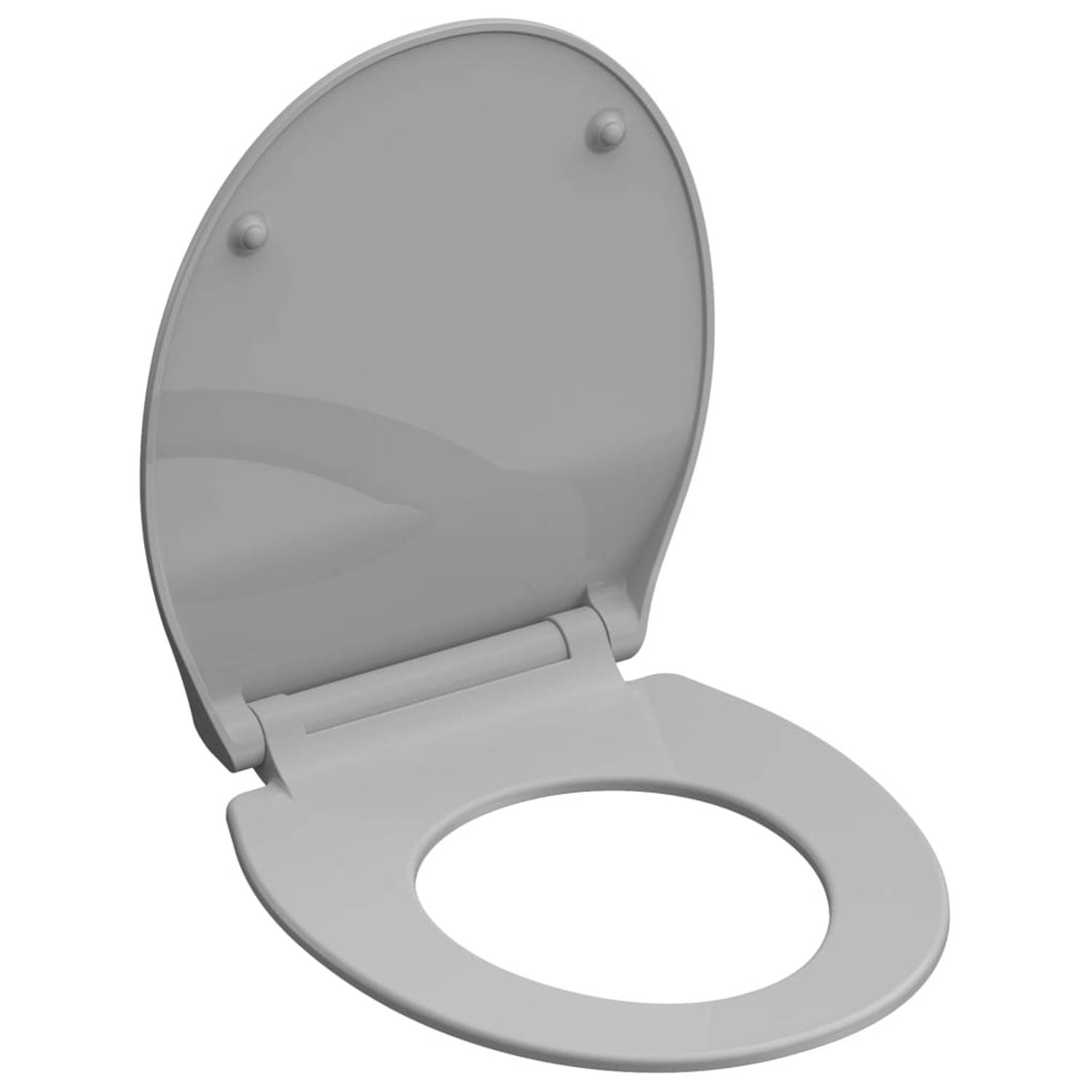 verbergen Opname Kunstmatig SCHÜTTE Toiletbril met soft-close SLIM GREY duroplast grijs | Blokker