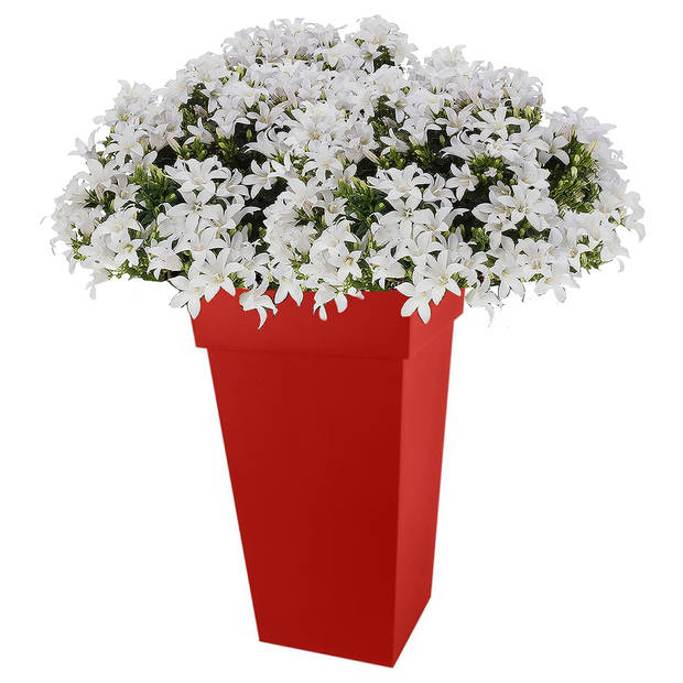 Bloempot Toscane vierkant kunststof rood L43 x B43 x H80 cm - Plantenpotten