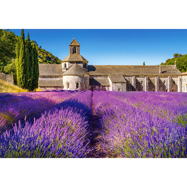 Castorland legpuzzel Lavender Field in Provence 1000 stukjes