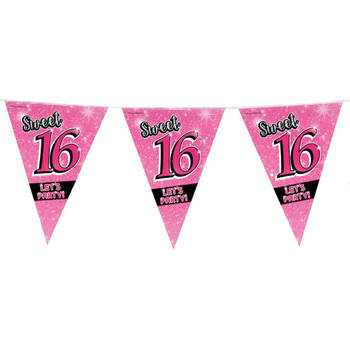 16 jaar verjaardag slingers Sweet 16 10 meter versiering - Vlaggenlijnen