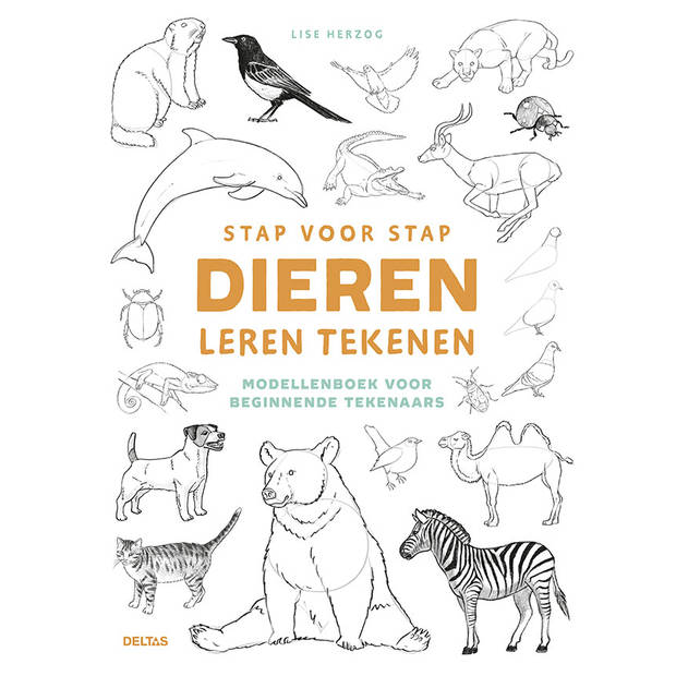 Stap voor stap dieren leren tekenen