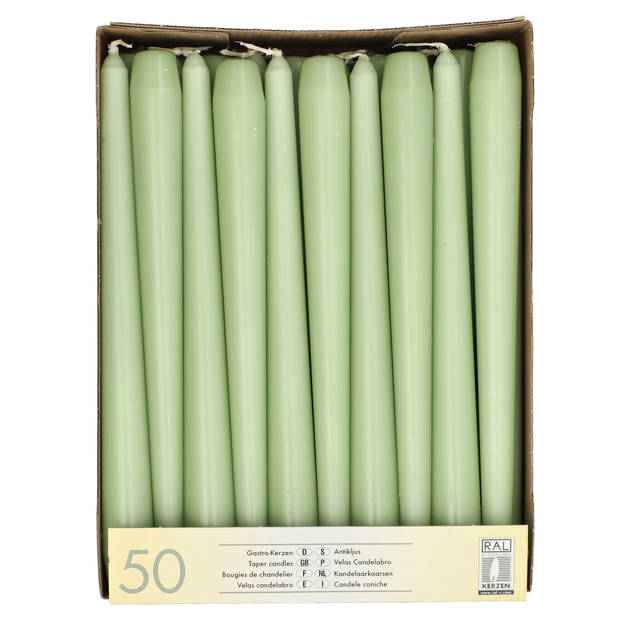 Conpax Candles Dinerkaarsen - 50x stuks - jade groen - 25 cm - Dinerkaarsen