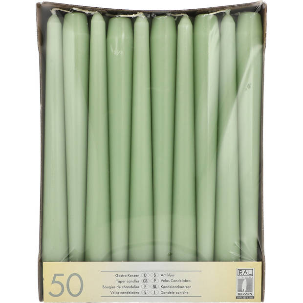 Conpax Candles Dinerkaarsen - 50x stuks - jade groen - 25 cm - Dinerkaarsen