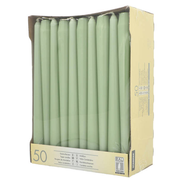 Conpax Candles Dinerkaarsen - 50x stuks - jade groen - 25 cm - Dinerkaarsen