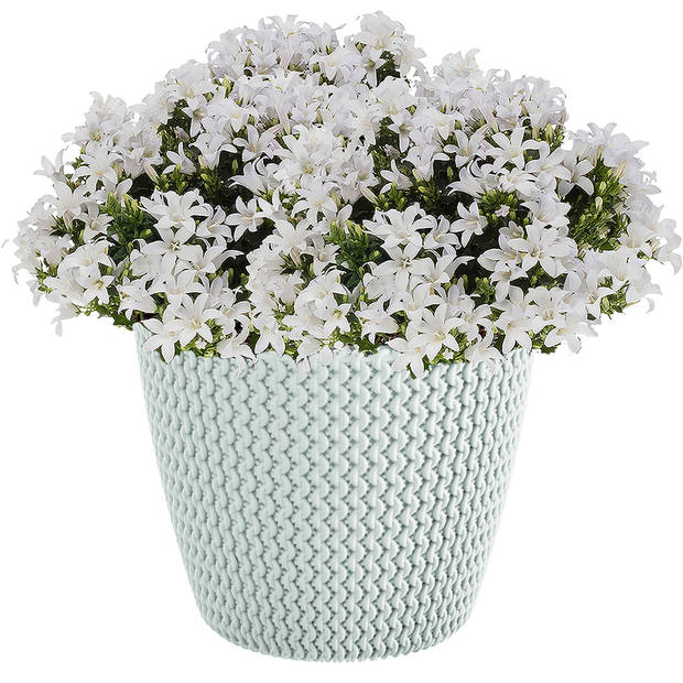 1x Kunststof Splofy bloempotten/plantenpotten wit 30 cm - Plantenpotten