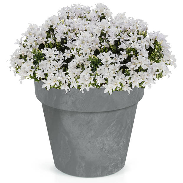 Prosperplast Bloempot - betonlook - grijs - kunststof - 30 cm - Plantenpotten