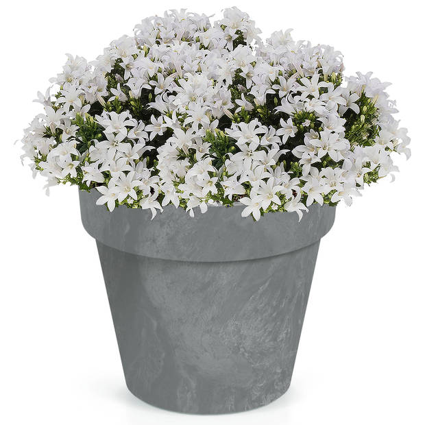 1x Kunststof bloempotten/plantenpotten betonlook 20 cm lichtgrijs - Plantenpotten