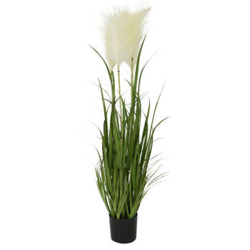 Grasplanten met witte pluimen kunstplanten/nepplanten 100 cm - Kunstplanten