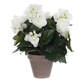 Witte Begonia kunstplant 30 cm in grijze pot - Kunstplanten