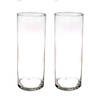 Set van 2x stuks hoge glazen vazen transparant 40 x 15 cm - Vazen