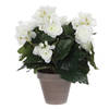 Mica Decoration Kunstplant - begonia - wit - in grijze pot - 30 cm - Kunstplanten