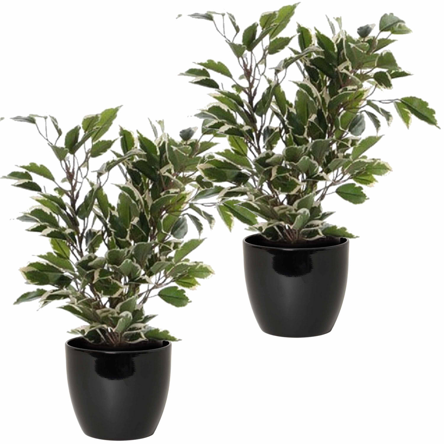 2x Stuks Groen-witte Ficus Kunstplanten 40 Cm Met Plantenpot Zwart D13.5 En H12.5 Cm