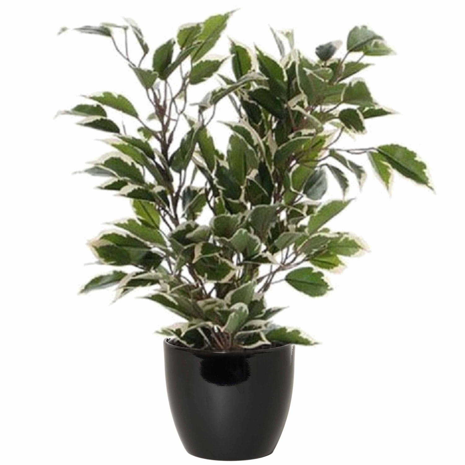 Groen-witte Ficus Kunstplant 40 Cm Met Plantenpot Zwart D13.5 En H12.5 Cm
