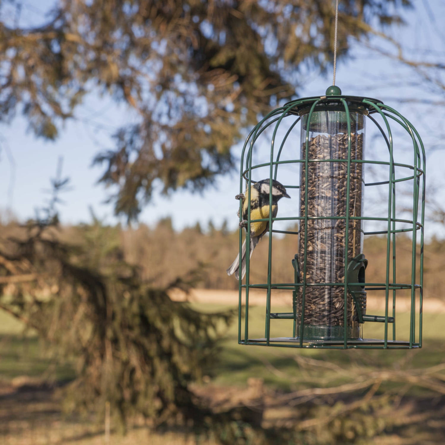 Metalen vogel voedersilo/voederkooi 26 cm Mussen/Mezen kleine vogeltjes - Winter voeder huisjes | Blokker