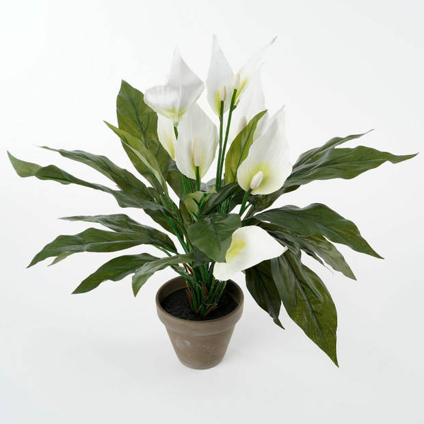 Spathiphyllum lepelplant kunstplant wit in keramieken pot H50 x D40 cm - Kunstplanten