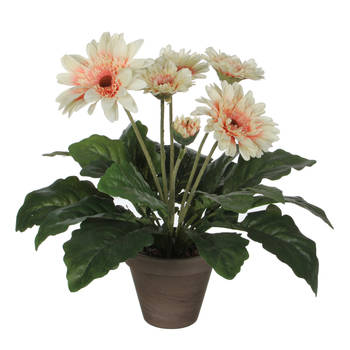 Mica Decorations Kunstplant - gerbera - creme - in pot - 35 cm - Kunstplanten