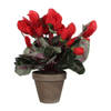 Cyclaam kunstplant rood in keramieken pot H30 x D30 cm - Kunstplanten