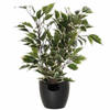 Groen/witte ficus kunstplant 40 cm met plantenpot zwart D13.5 en H12.5 cm - Kunstplanten