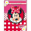 Vriendenboek Disney's Minnie Mouse