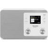 TechniSat DAB radio Digitradio 307 (Wit)