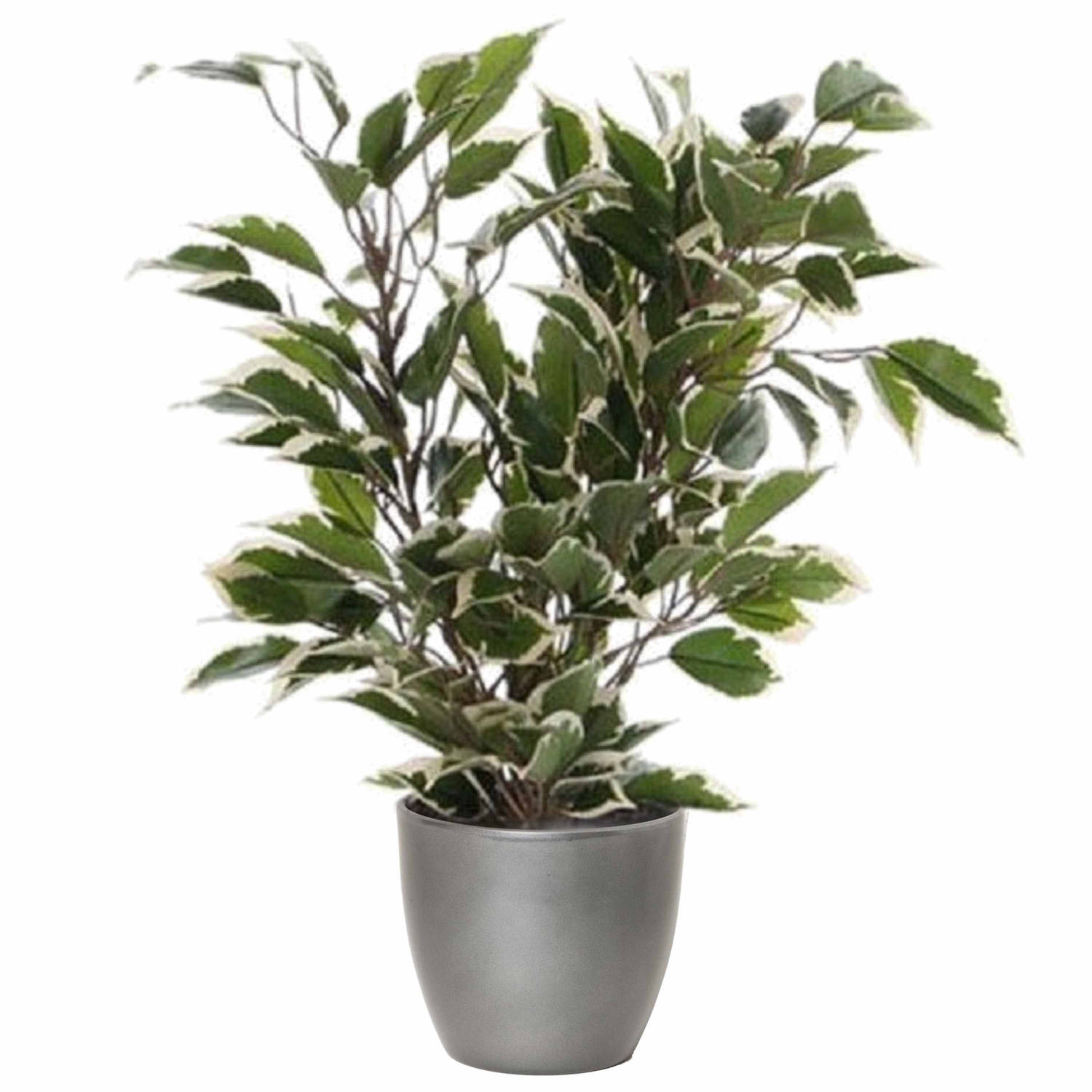 Groen-witte Ficus Kunstplant 40 Cm Met Plantenpot Zilver Metallic D13.5 En H12.5 Cm