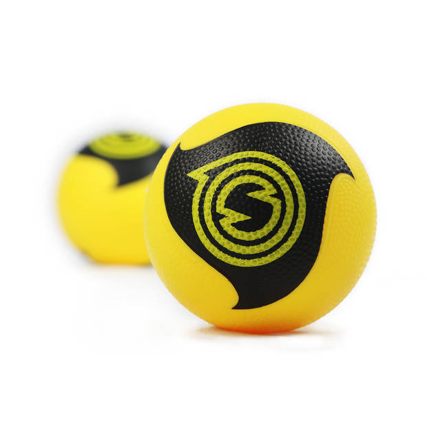 Spikeball Pro set