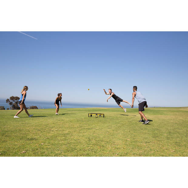 Spikeball Pro set