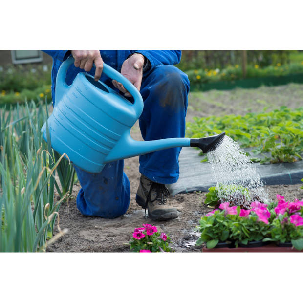 Gieter blauw met broeskop 5 liter - tuinplanten gieter met sproeikop - Gieters