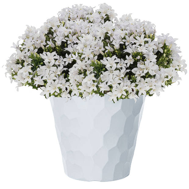 Kunststof Rocka bloempot/plantenpot wit 40 x 37 cm - Plantenpotten