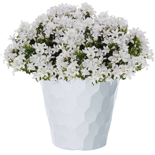 Kunststof Rocka bloempot/plantenpot wit 35 x 32 cm - Plantenpotten