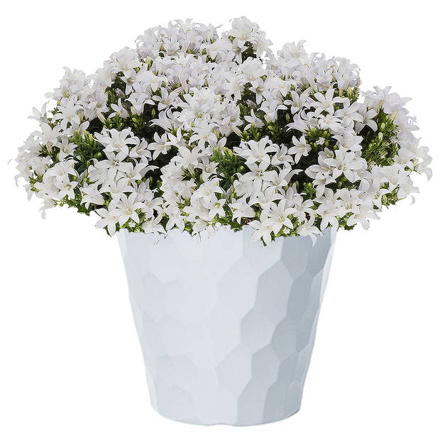 Kunststof Rocka bloempot/plantenpot wit 30 x 28 cm - Plantenpotten