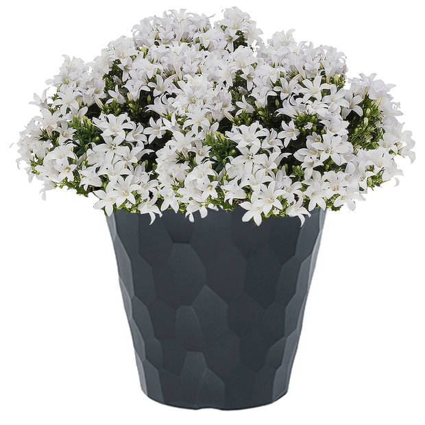 Kunststof Rocka bloempot/plantenpot antraciet 35 x 32 cm - Plantenpotten