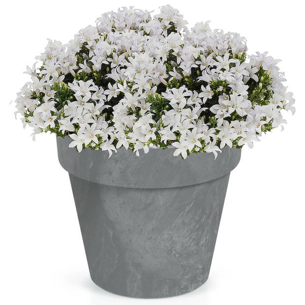 1x Kunststof bloempotten/plantenpotten betonlook 25 cm lichtgrijs - Plantenpotten