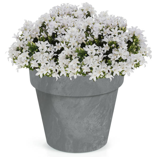 1x Kunststof bloempotten/plantenpotten betonlook 17 cm lichtgrijs - Plantenpotten