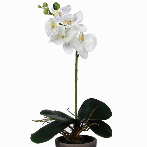 Phalaenopsis Orchidee kunstplant wit in grijze pot H38 x D13 cm - Kunstplanten