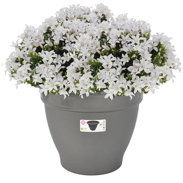 Grijze ronde plantenpot/bloempot kunststof diameter 50 cm - Plantenpotten