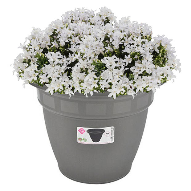 Bloempot/plantenbak - grijs - kunststof - D40 cm - rond - plantenpot/bloembak - Plantenpotten