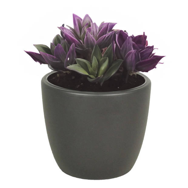 Floran Plantenpot - antraciet grijs - mat - keramiek - 19 x 17 cm - Plantenpotten