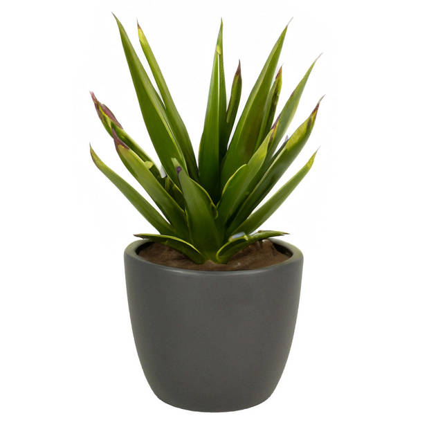 Floran Plantenpot - antraciet grijs - mat - keramiek - 19 x 17 cm - Plantenpotten