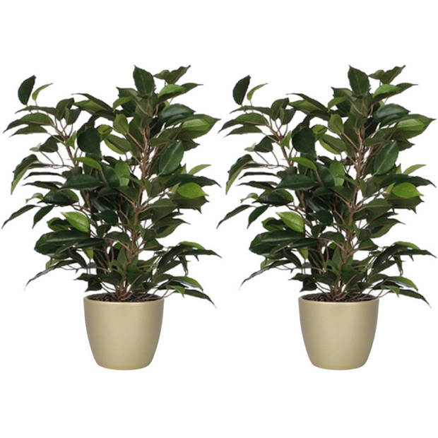 2x stuks groene ficus kunstplant 40 cm met plantenpot parelgoud D13.5 en H12.5 cm - Kunstplanten