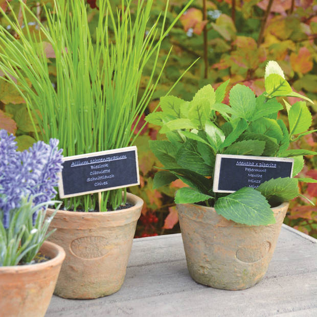 Esschert Design Kunstplant/kruiden tijm - in oude terracotta pot - 15 cm - kruiden - Kunstplanten