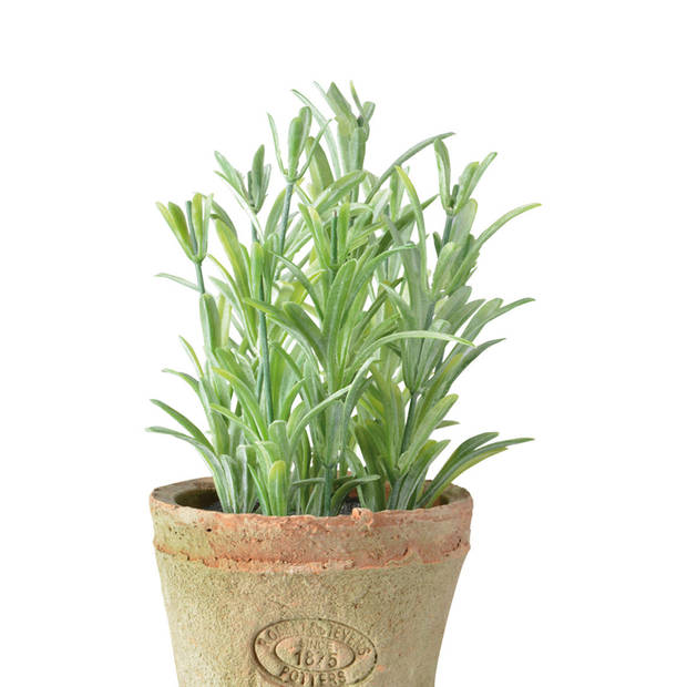 Esschert Design Kunstplant/kruiden rosemarijn - in oude terracotta pot - 16 cm - kruiden - Kunstplanten
